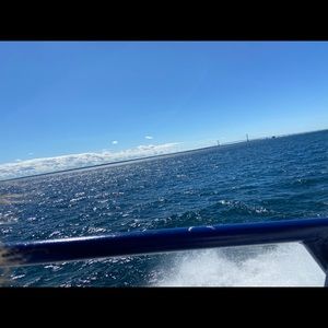 Meet your Posher, Logan may